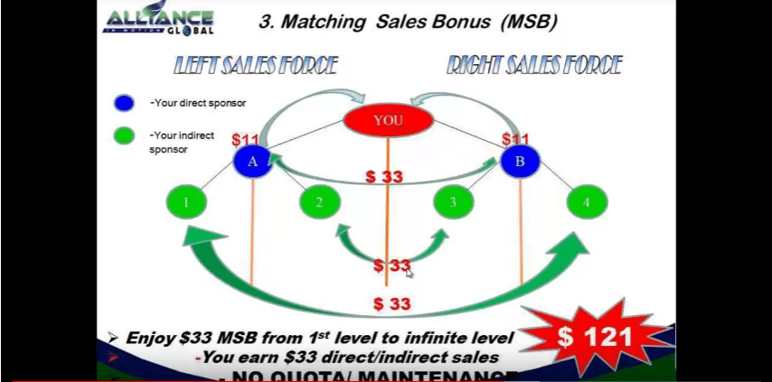 avis aim global