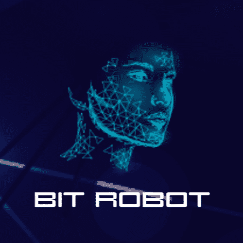 Bit Robot