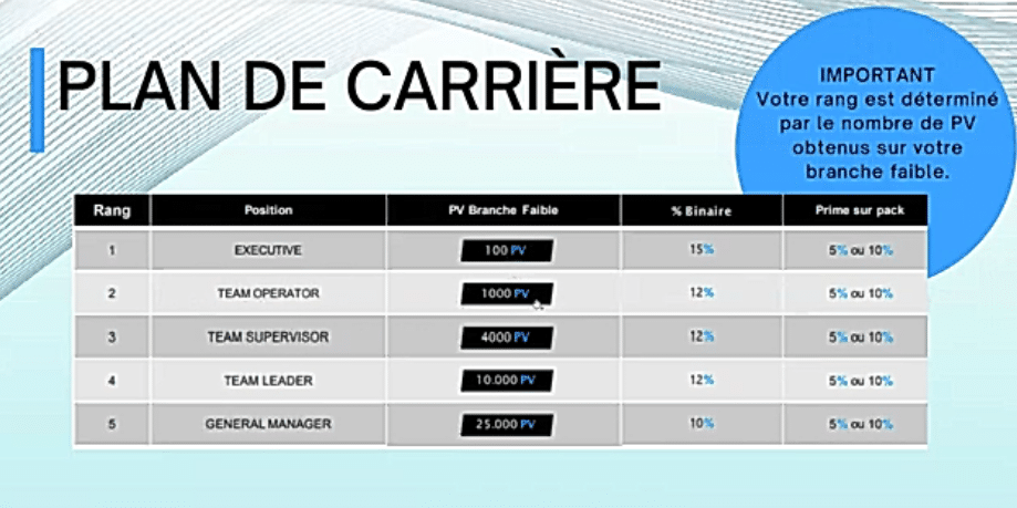 avis plan de rémunération Be My FLow