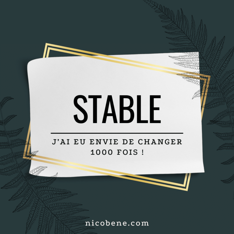 marketing de réseau stable